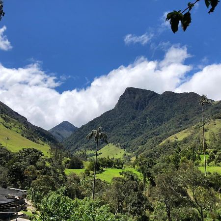 סאלנטו Cabanas Valle Del Cocora La Truchera מראה חיצוני תמונה