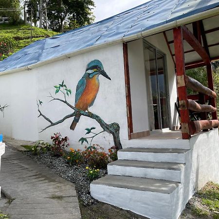 סאלנטו Cabanas Valle Del Cocora La Truchera מראה חיצוני תמונה