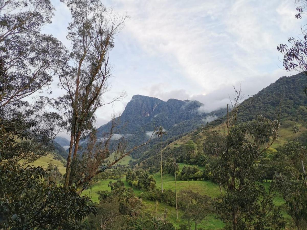 סאלנטו Cabanas Valle Del Cocora La Truchera מראה חיצוני תמונה