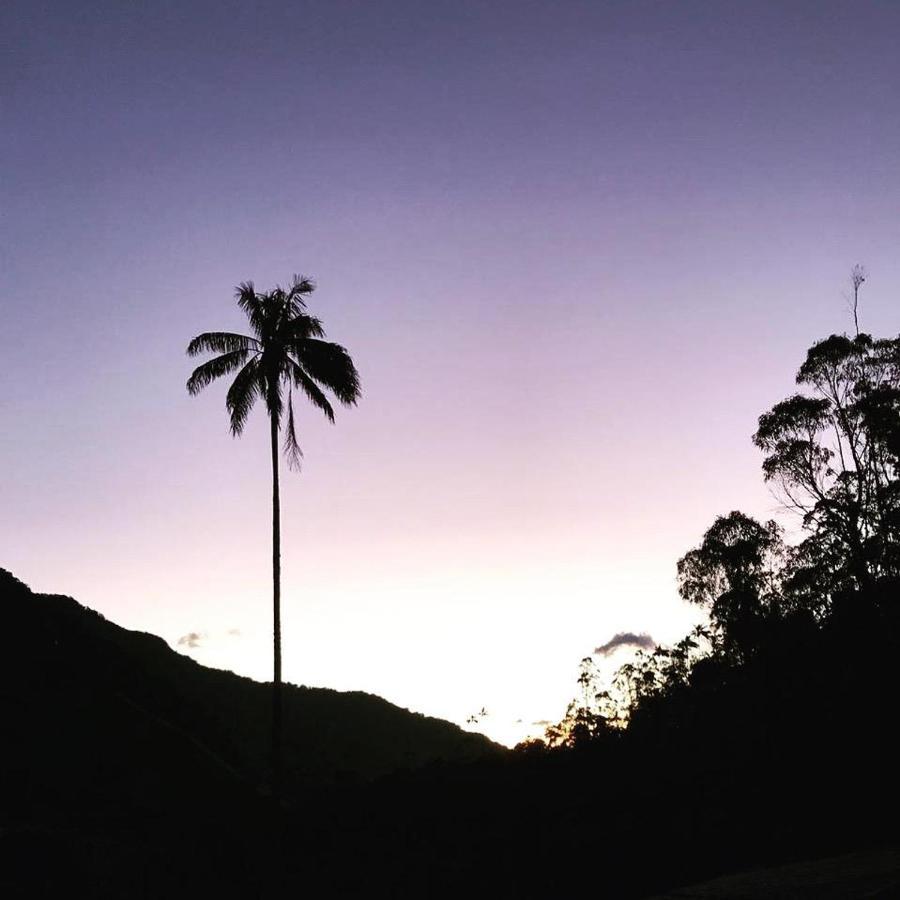 סאלנטו Cabanas Valle Del Cocora La Truchera מראה חיצוני תמונה