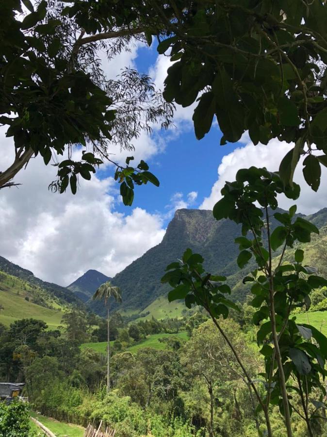 סאלנטו Cabanas Valle Del Cocora La Truchera מראה חיצוני תמונה