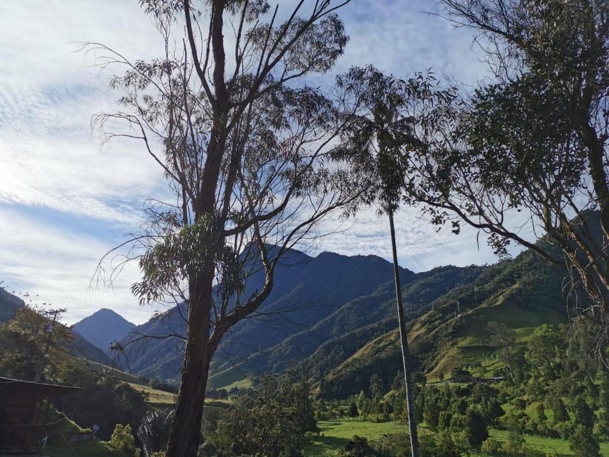 סאלנטו Cabanas Valle Del Cocora La Truchera מראה חיצוני תמונה