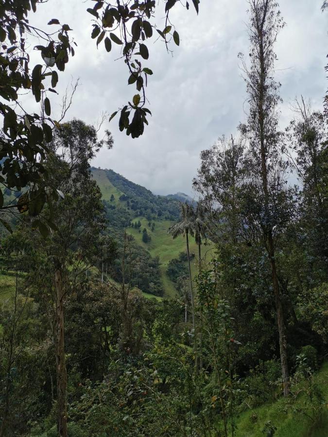 סאלנטו Cabanas Valle Del Cocora La Truchera מראה חיצוני תמונה