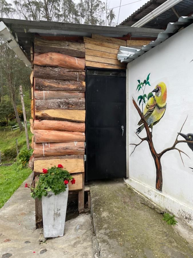 סאלנטו Cabanas Valle Del Cocora La Truchera מראה חיצוני תמונה