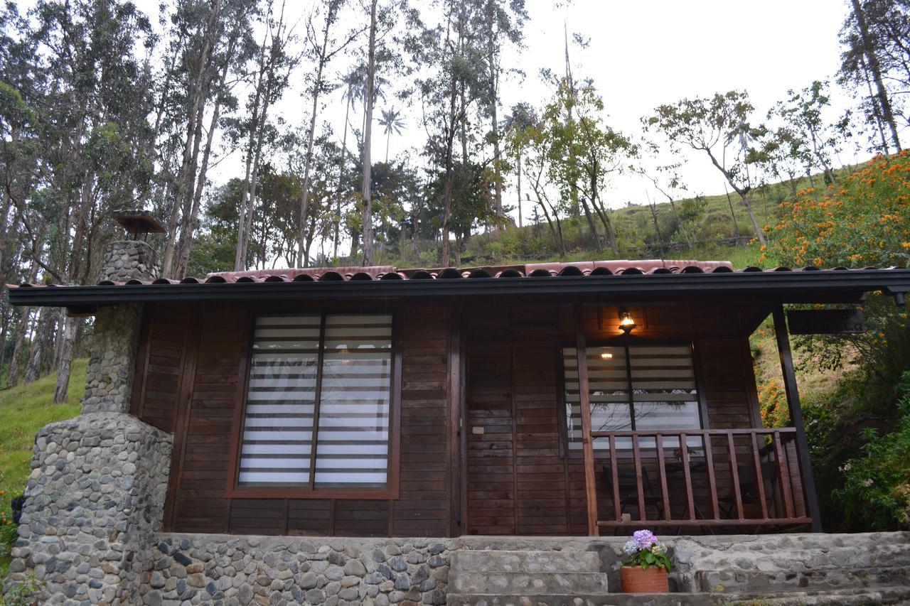 סאלנטו Cabanas Valle Del Cocora La Truchera מראה חיצוני תמונה