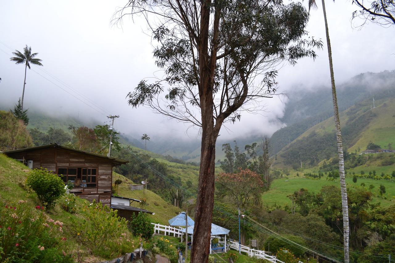 סאלנטו Cabanas Valle Del Cocora La Truchera מראה חיצוני תמונה