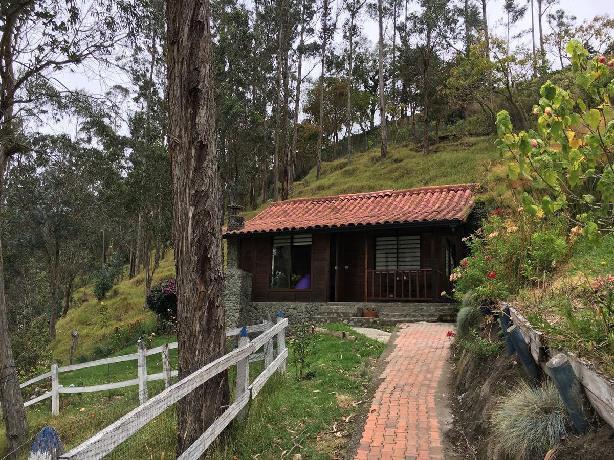 סאלנטו Cabanas Valle Del Cocora La Truchera מראה חיצוני תמונה