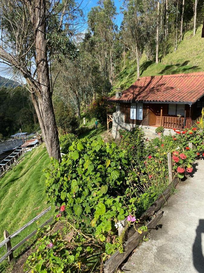 סאלנטו Cabanas Valle Del Cocora La Truchera מראה חיצוני תמונה