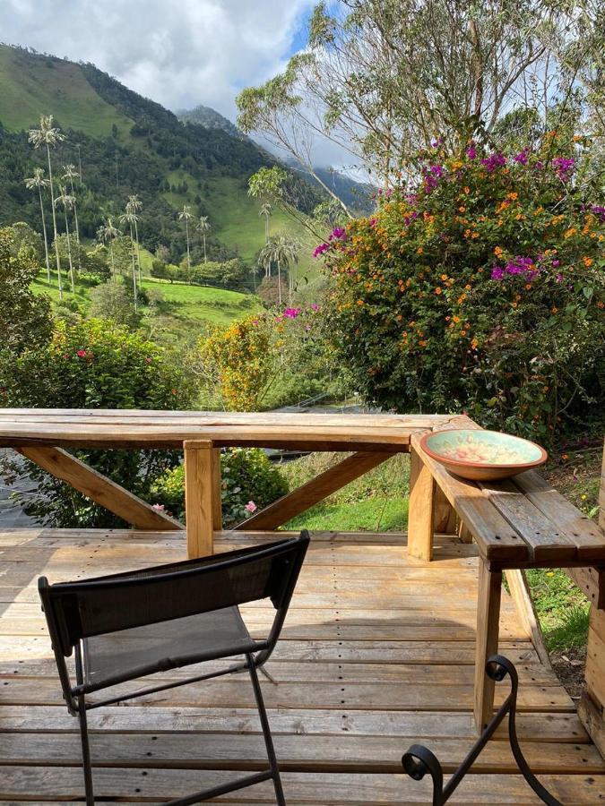 סאלנטו Cabanas Valle Del Cocora La Truchera מראה חיצוני תמונה