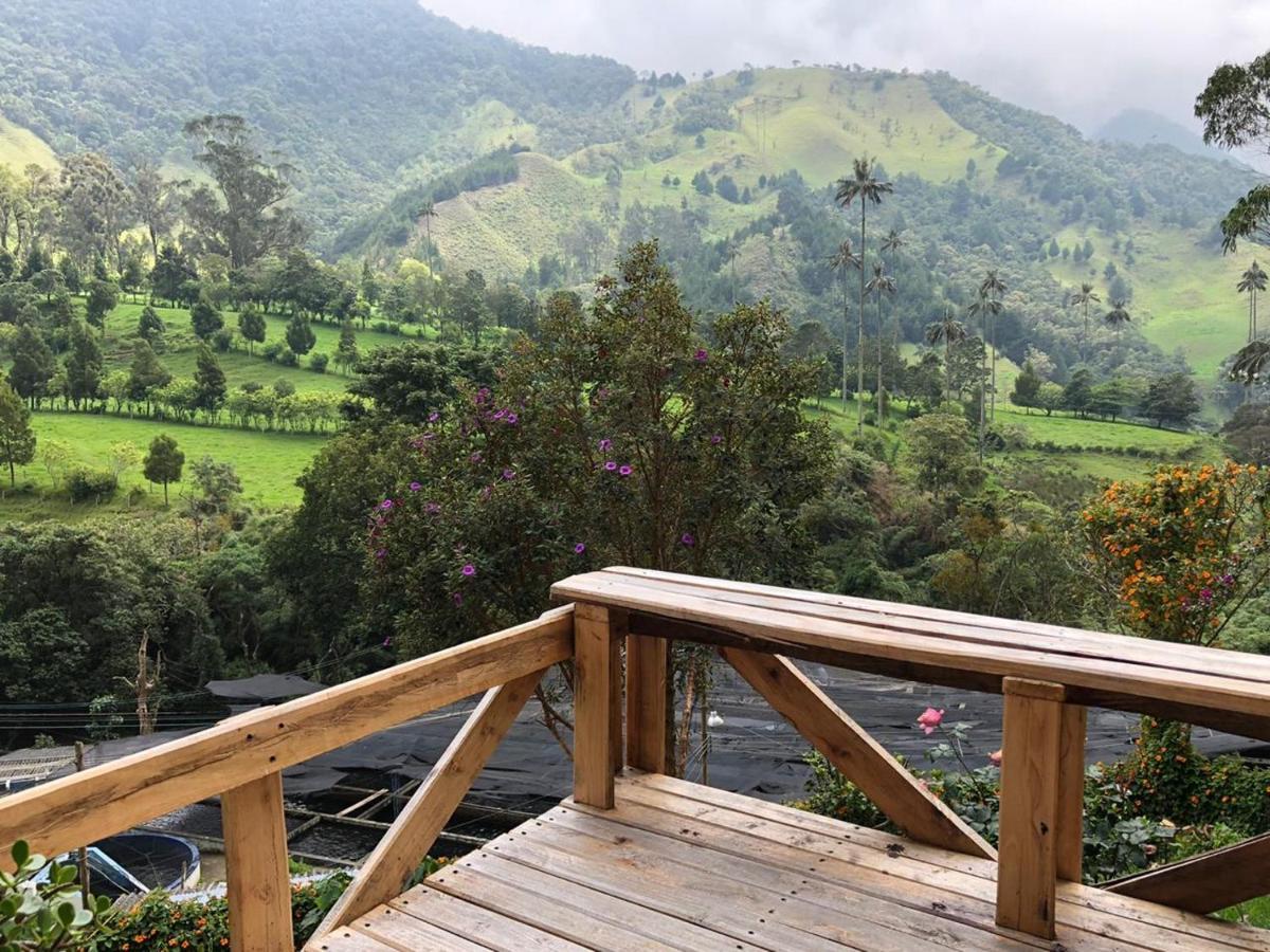 סאלנטו Cabanas Valle Del Cocora La Truchera מראה חיצוני תמונה