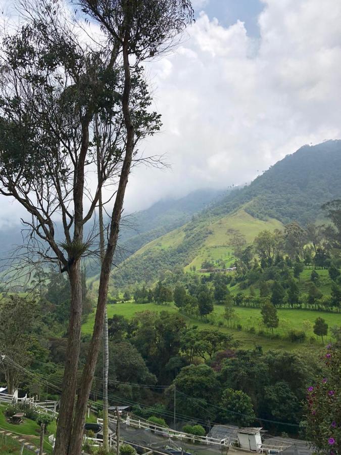 סאלנטו Cabanas Valle Del Cocora La Truchera מראה חיצוני תמונה