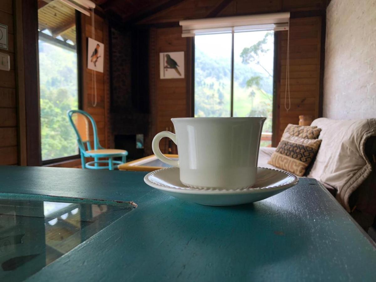 סאלנטו Cabanas Valle Del Cocora La Truchera מראה חיצוני תמונה