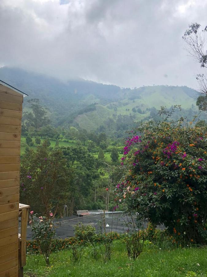 סאלנטו Cabanas Valle Del Cocora La Truchera מראה חיצוני תמונה